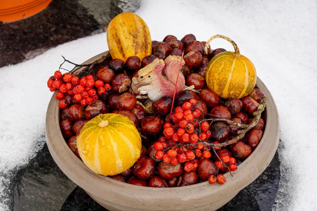 Aliments bénéfiques pour la santé en hiver