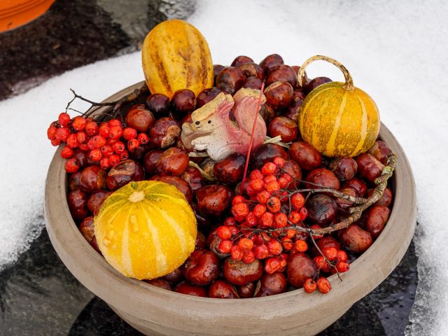 Aliments bénéfiques pour la santé en hiver